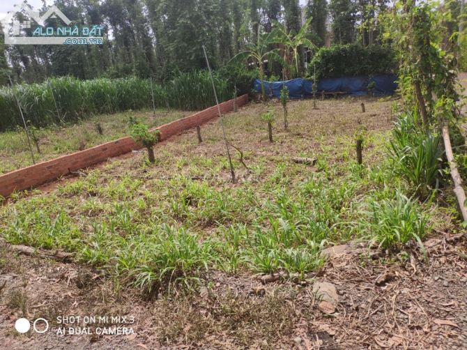 Bán đất xã Xuân Sơn, Huyện Châu Đức, Vũng Tàu dt 8x20m