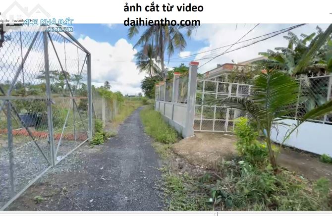Bán đất nông nghiệp thị trấn Cần Giuộc, Dt 1000m2, đường 4m xe hơi - 2