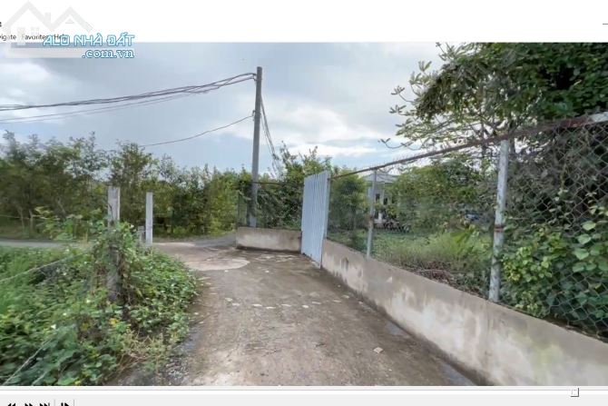 Bán đất nông nghiệp thị trấn Cần Giuộc, Dt 1000m2, đường 4m xe hơi - 5