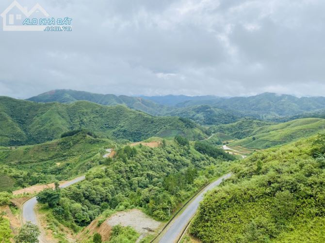 SIÊU DỰ ÁN SĂN MÂY 1.146HA RSX TẠI LAI CHÂU GIÁ CỰC HẤP DẪN - 5