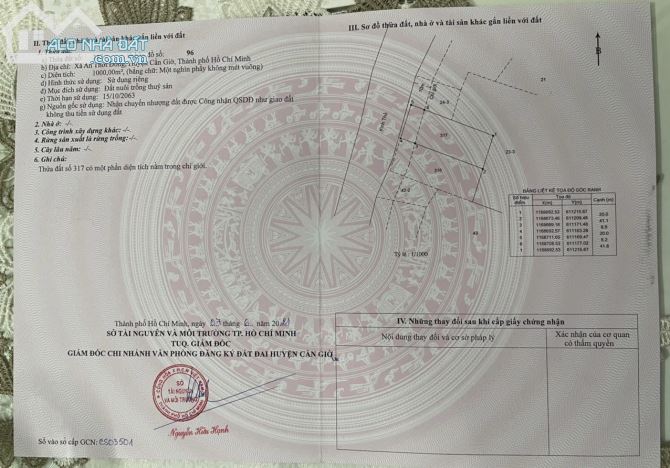 Bán đất Lý Nhơn, An Thới Đông, Cần Giờ: 20 x 50, giá 950 triệu