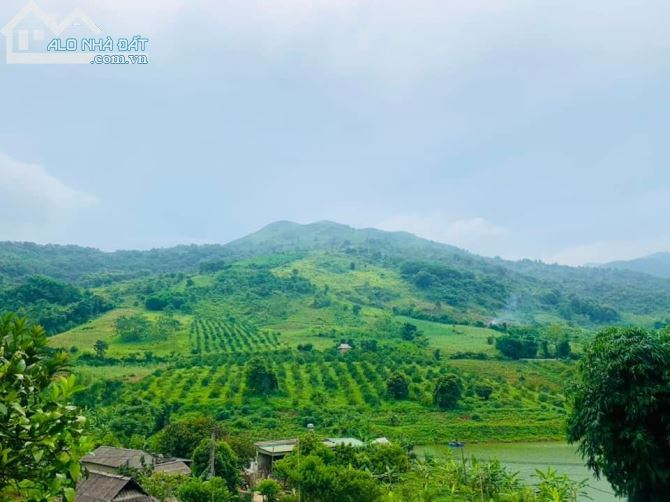 SIÊU PHẨM BÁM HỒ 2.2HA CÓ 900M THỔ CƯ TẠI CAO PHONG GIÁ ĐẦU TƯ CỰC TỐT