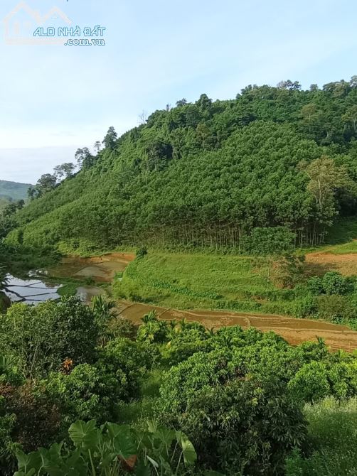 CHỈ 30K/M2 LÔ ĐẤT 5.2HA VIEW CÁNH ĐỒNG RẤT ĐẸP TẠI KIM SƠN KIM BÔI