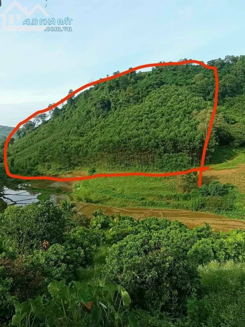 CHỈ 30K/M2 LÔ ĐẤT 5.2HA VIEW CÁNH ĐỒNG RẤT ĐẸP TẠI KIM SƠN KIM BÔI - 1