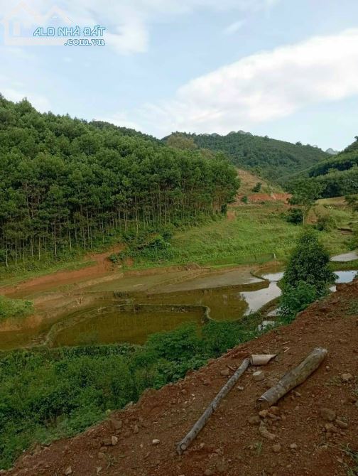CHỈ 30K/M2 LÔ ĐẤT 5.2HA VIEW CÁNH ĐỒNG RẤT ĐẸP TẠI KIM SƠN KIM BÔI - 5
