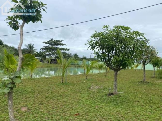 Bán mảnh vườn Lô 2 đường dẫn Hàm Kiệm-Tiến Thành về dự án NoVaWorld Phan Thiêt - 2