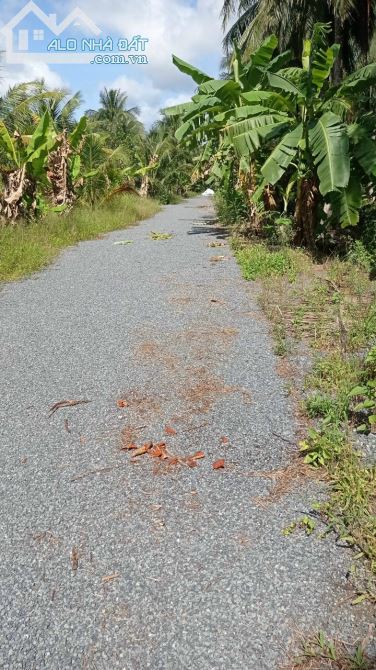 Cần bán đất mặt tiền đường đá mi thuộc sóc thác xã nguyệt hóa châu thành TP Trà Vinh