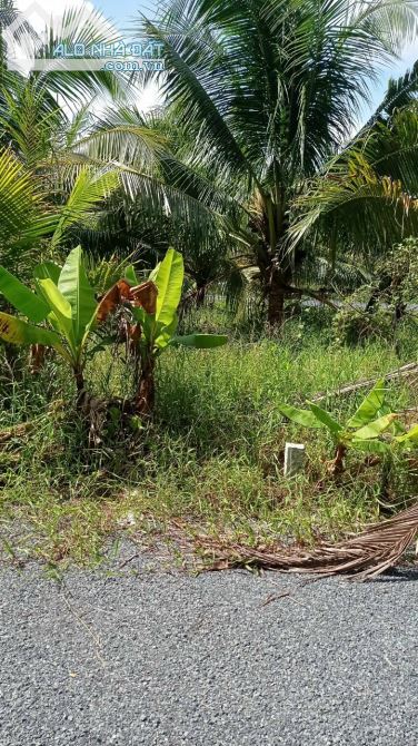 Cần bán đất mặt tiền đường đá mi thuộc sóc thác xã nguyệt hóa châu thành TP Trà Vinh - 1