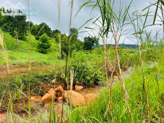 Bán lô đất view suối hồ tuyệt đẹp - mặt tiền đường Yến Hồ, Tp Bảo Lộc - 1