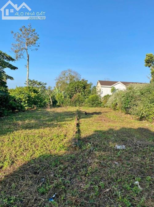 đất KomLeo - Hòa Thắng - Buôn Mê Thuột, gần đại lộ Đông Tây - 2