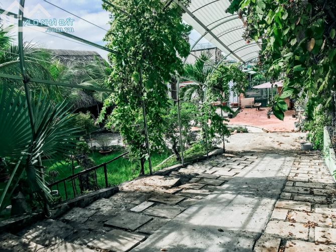 Cho thuê mặt bằng 1,200m2 đường Đồng Khởi. P. Tân Mai Biên Hòa 79 Triệu/Tháng