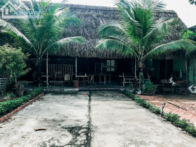 Cho thuê mặt bằng 1,200m2 đường Đồng Khởi. P. Tân Mai Biên Hòa 79 Triệu/Tháng - 1