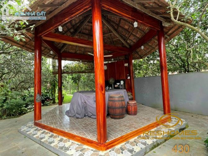 Bán khu vườn Bưởi 1300m2 ven rạch Tân Triều, làng bưỏi Tân Triều, Giá 10,5 tỷ - 1