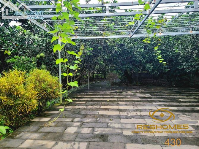 Bán khu vườn Bưởi 1300m2 ven rạch Tân Triều, làng bưỏi Tân Triều, Giá 10,5 tỷ - 2