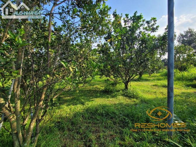 Bán  2100m² đất phủ hồng góc 2 mặt tiền đường Nhựa Xóm Rạch, Bình Lợi. Giá 11 tỷ - 3