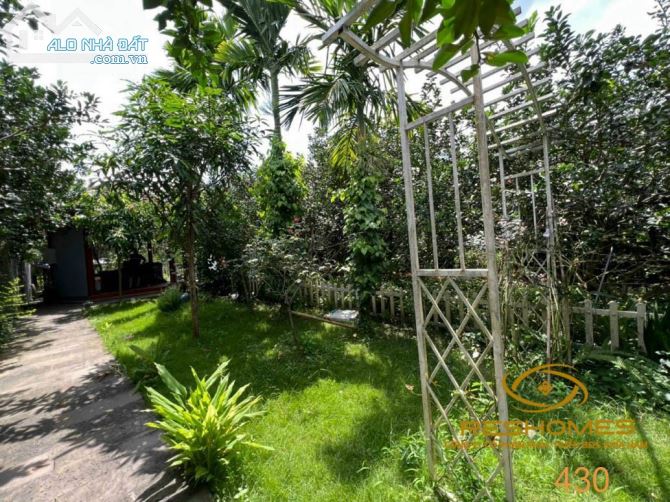 Bán khu vườn Bưởi 1300m2 ven rạch Tân Triều, làng bưỏi Tân Triều, Giá 10,5 tỷ - 3