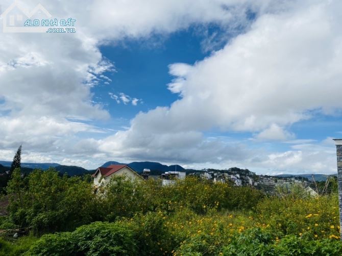 Bán nhanh đất view đồi thông khe sanh Lê Văn Tám 304.6m2 (thực tế 352) P10 Đà Lạt 17 tỷ