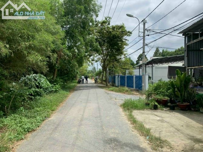 Cần bán đất mặt tiền nhựa 1/ Sông Lu xã Hoà Phú Củ Chi DT 25x61 tổng 1523m2 300m thổ cư - 1