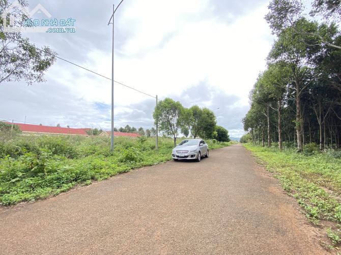 Bán đất Khu đấu giá trung tâm hành chính huyện Cưkuin Daklak
