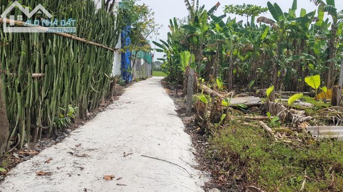 Bán đất thổ cư xã Long Trạch, Cần Đước. Dt 5x24m, đường công cộng 2m - 1