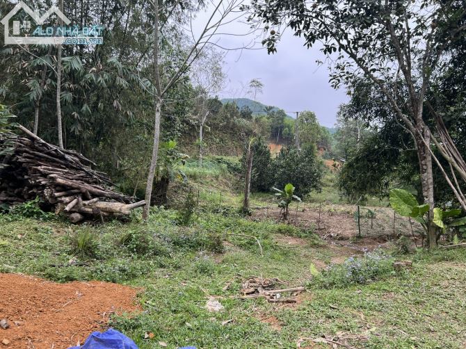 3200m Có 400m Đất Ở -  Suối Nhỏ Chảy Quanh Đất Đẹp - Làm Homestay Nghỉ Dưỡng Cực đĐỉnh - 1