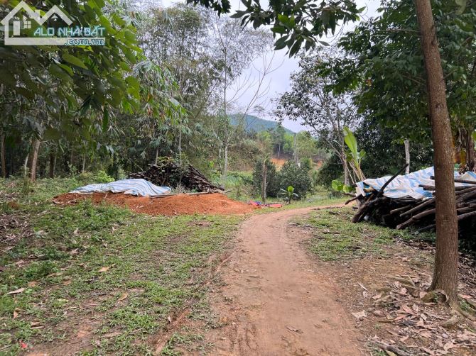 3200m Có 400m Đất Ở -  Suối Nhỏ Chảy Quanh Đất Đẹp - Làm Homestay Nghỉ Dưỡng Cực đĐỉnh - 2