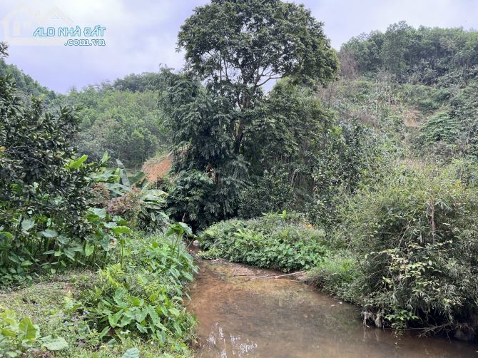3200m Có 400m Đất Ở -  Suối Nhỏ Chảy Quanh Đất Đẹp - Làm Homestay Nghỉ Dưỡng Cực đĐỉnh - 3