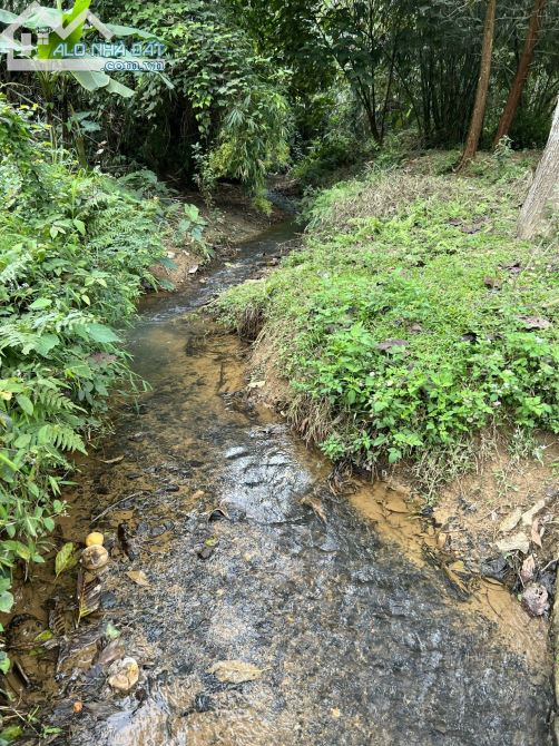 3200m Có 400m Đất Ở -  Suối Nhỏ Chảy Quanh Đất Đẹp - Làm Homestay Nghỉ Dưỡng Cực đĐỉnh - 4