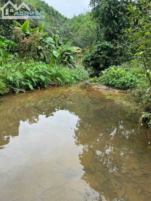 3200m Có 400m Đất Ở -  Suối Nhỏ Chảy Quanh Đất Đẹp - Làm Homestay Nghỉ Dưỡng Cực đĐỉnh - 5
