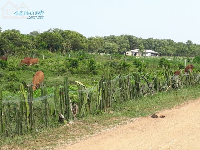 Bán trang trại 1.8ha, Điền Môn, Phong Điền, TTHuế, 400k/m2 - 3