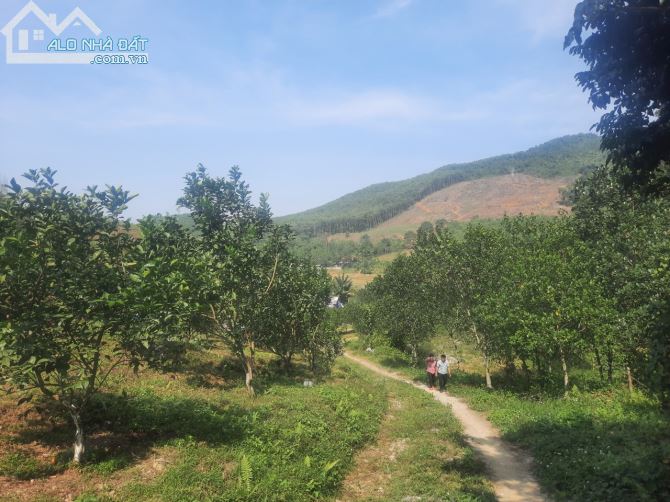 Chuyển nhượng 2.5ha đất rsx tại Kim Bôi gần dự án nghỉ dưỡng hồ nam thượng - 4