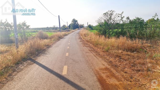 BÁN ĐẤT PHƯỚC LONG THỌ ĐẤT ĐỎ BÀ RỊA VŨNG TÀU diện tích 350m, gần,khu công nghiệp - 3