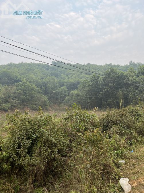 26805m Có 2805m Đất Ở - Bám 90m mặt đường quốc lộ Trường Sơn A - Làm Nhà Xưởng Quá Đẹp - 2