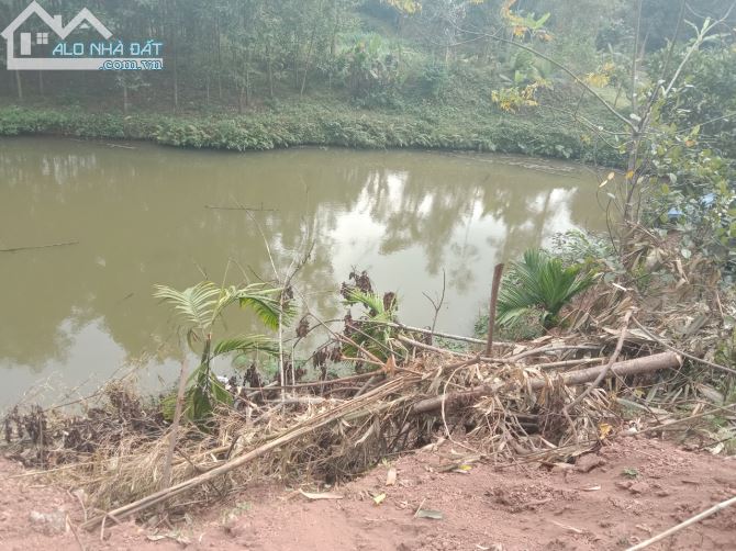 Bán nhanh 2.7ha có 200 đất vườn view cánh đồng, giá nhỉnh 1 tỷ tại kim bôi