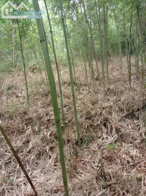 Bán nhanh 2.7ha có 200 đất vườn view cánh đồng, giá nhỉnh 1 tỷ tại kim bôi - 3