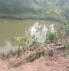 Bán nhanh 2.7ha có 200 đất vườn view cánh đồng, giá nhỉnh 1 tỷ tại kim bôi