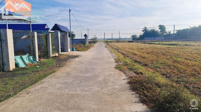 BÁN ĐẤT TAM PHƯỚC LONG ĐIỀN BÀ RỊA VŨNG TÀU diện tích 225m sát ngay tỉnh lộ 44B - 1