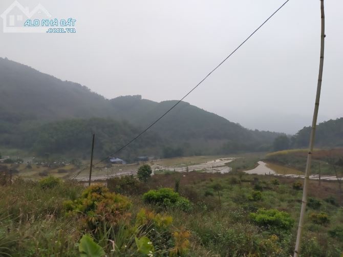 Cần chuyển nhượng 8.8ha rsx bám đường bê tông tại Kim Bôi giá rẻ chỉ nhỉnh 300tr/ha