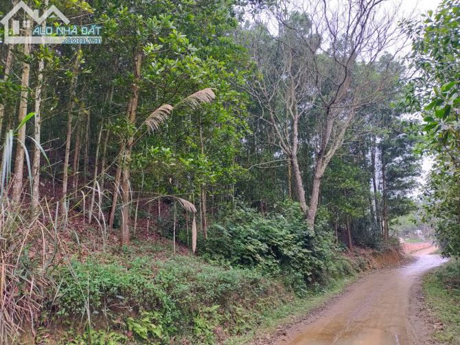 Cần chuyển nhượng 8.8ha rsx bám đường bê tông tại Kim Bôi giá rẻ chỉ nhỉnh 300tr/ha - 1