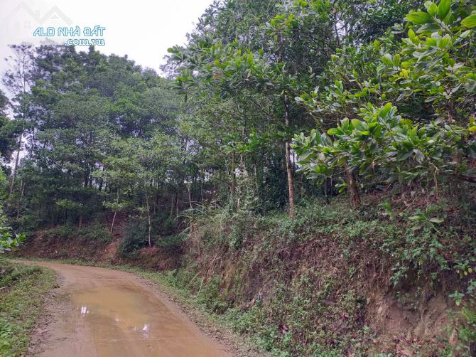 Cần chuyển nhượng 8.8ha rsx bám đường bê tông tại Kim Bôi giá rẻ chỉ nhỉnh 300tr/ha - 2