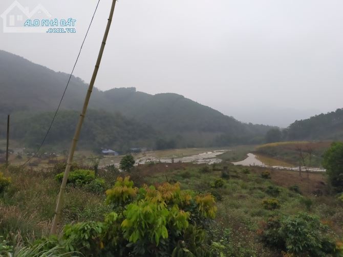 Cần chuyển nhượng 8.8ha rsx bám đường bê tông tại Kim Bôi giá rẻ chỉ nhỉnh 300tr/ha - 3