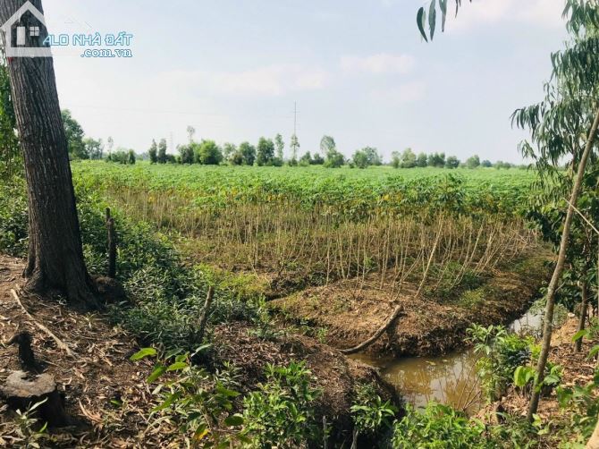 Chính chủ gửi bán 1,7Ha đất vườn view Kênh Xã tại xã Bình Đức - Bến Lức - Long An. - 1