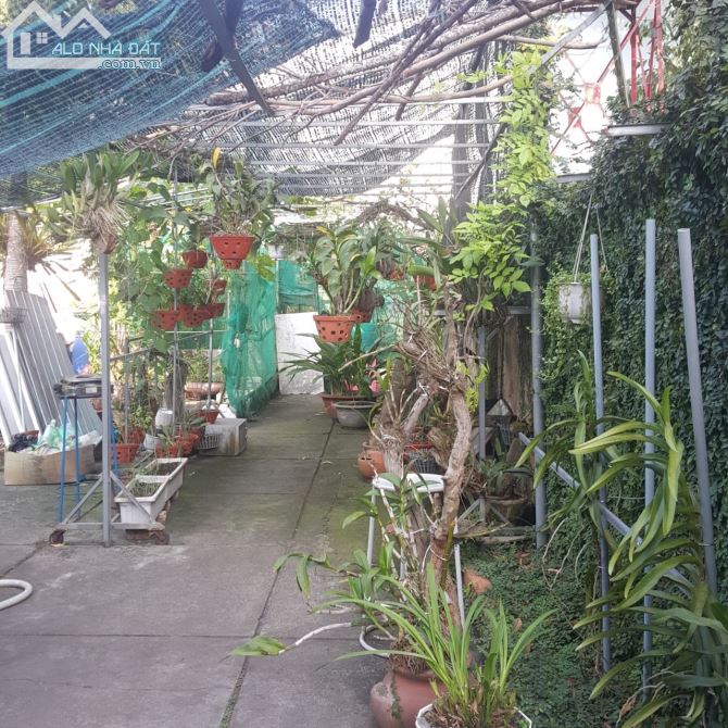 BÁN ĐẤT BIÊT THỰ GÓC 2 MẶT TIỀN HỒ HOÀ CƯ XÁ PHÚC HẢI ,TÂN PHONG 12x21