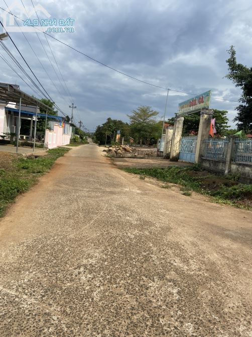 CẦN BÁN LÔ ĐẤT ĐƯỜNG ĐỒNG TÂM, DRAY SÁP, KRONG ANA, GIÁ RẺ. - 2