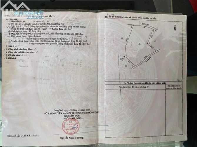 Bán gần 1 mẫu xuân quế vườn trái cây giá mêm cho nhà đầu tư - 1