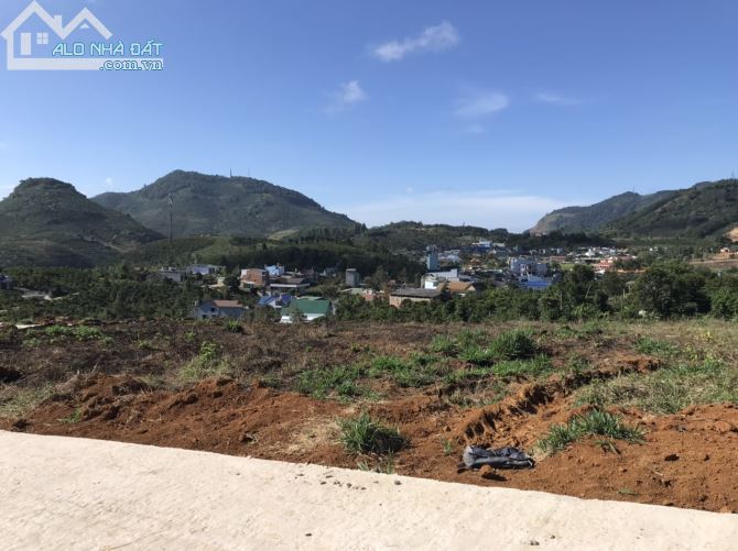 1.1 sào Bảo Lộc view đẹp, cách QL20 chỉ 400m, đường betong. - 3