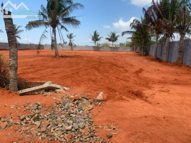 Cần bán 2 sào 4 đất Cây lâu năm lô 2 Kim Ngọc - Phú Hài rất gần Phan Thiết