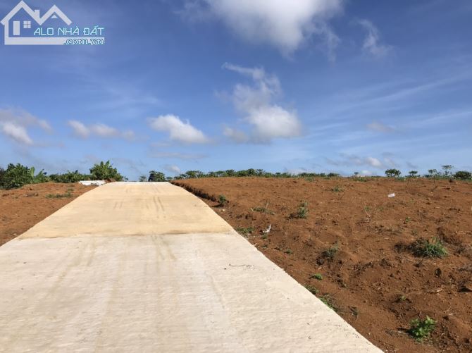 1.2 sào Bảo Lộc view thành phố cách QL20 chỉ 400m. - 2