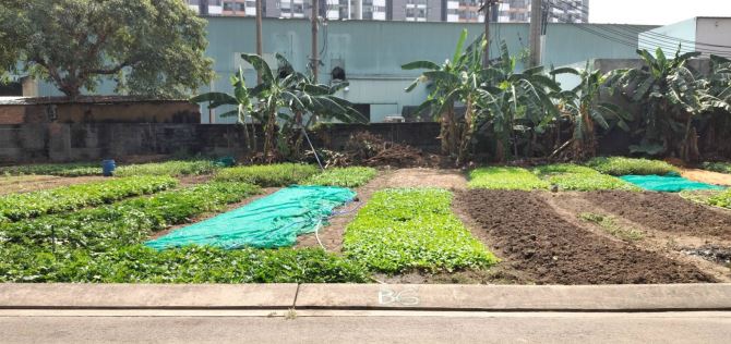 Bán đất Biệt Thự đường  Thuỷ lợi , Phường Phước Long A, Quận 9 ,DT: 10 x 20 = 201 m2.