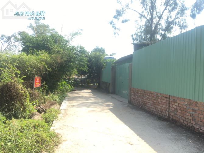 Bán đất đường Bình Trưng, Phường Bình Trưng Đông, Quận 2. 1000 m2 giá chỉ 13 tr/m2 - 1